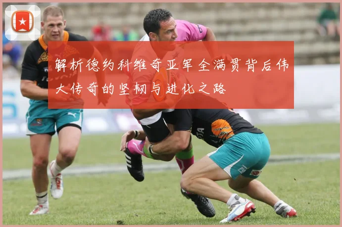 解析德约科维奇亚军全满贯背后伟大传奇的坚韧与进化之路