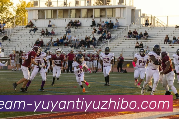 雨燕体育直播平台生态图