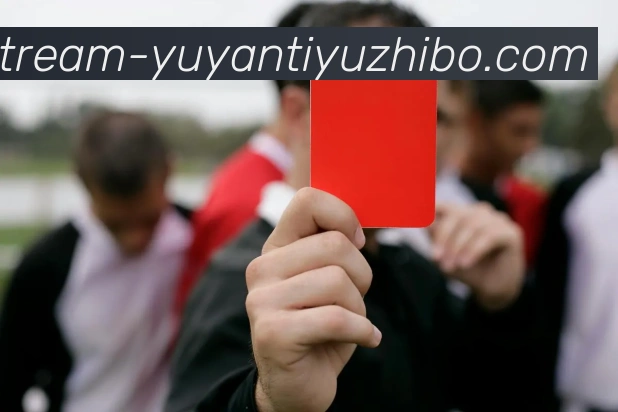 雨燕体育直播APP 封面图